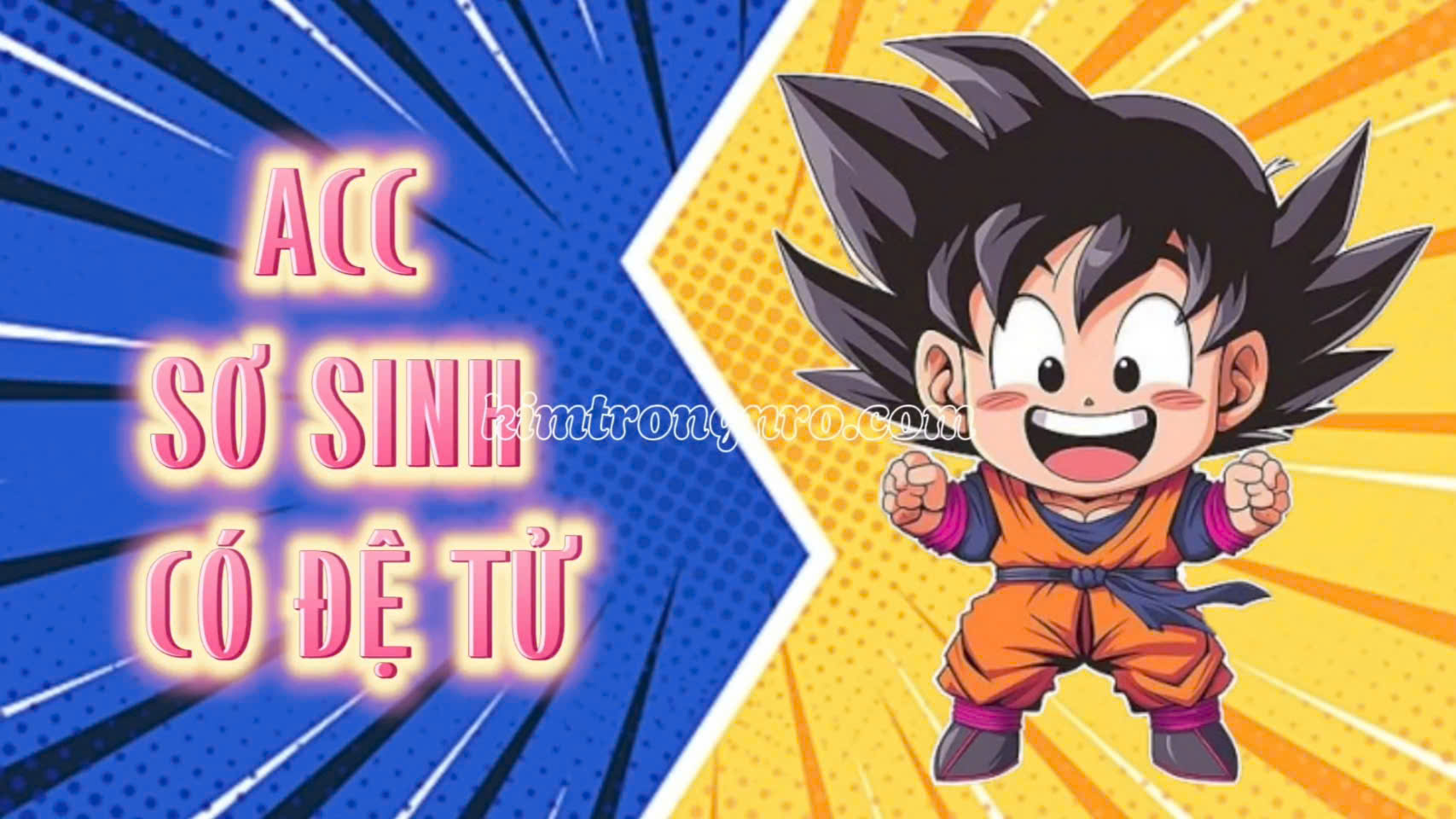 ACC SƠ SINH CÓ ĐỆ TỬ