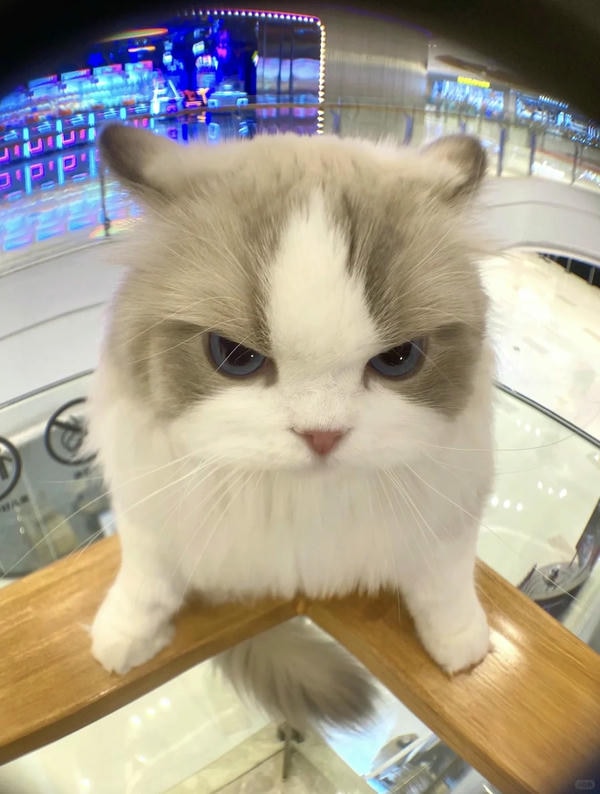 UP TIỀM NĂNG THẦN CẤP 1 SEVER2